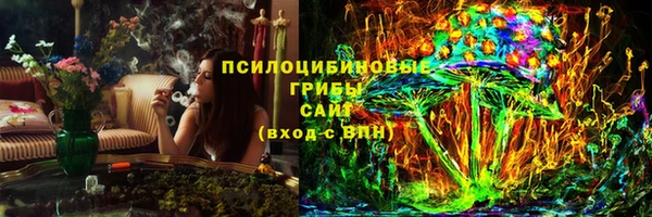 индика Волосово